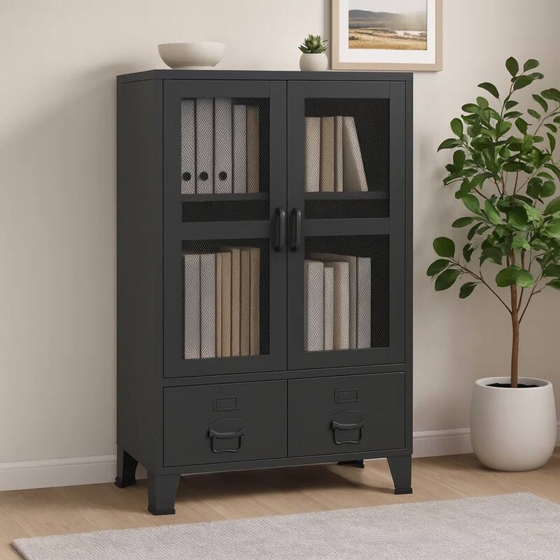 Coy Tall Storage Cabinet, 2 Drawers w 2 Mesh Front Doors, Metal Frame, Black