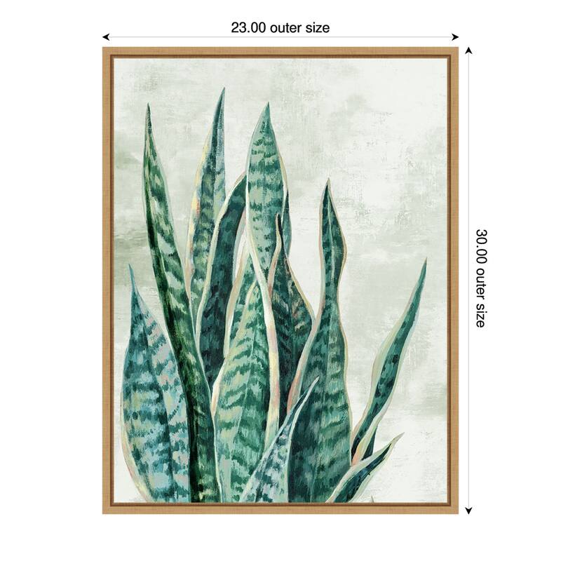 Amanti Art Reaching Snake Plant by PI Studio Framed Canvas Wall Art Print - Sylvie Maple - 23x30
