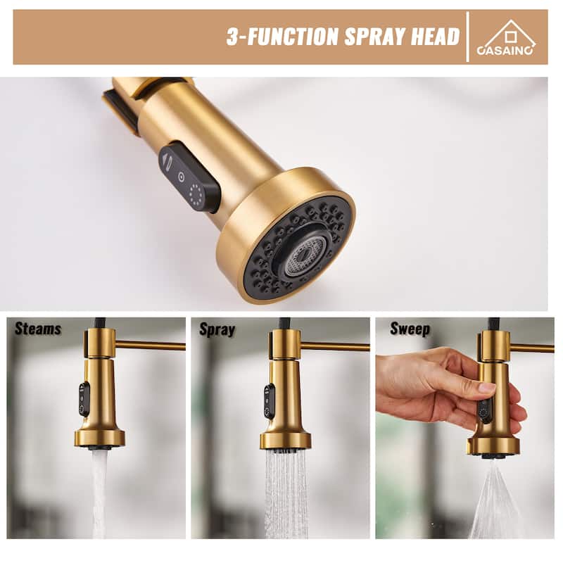 Single Handle Pull-Down Sprayer Kitchen Faucet