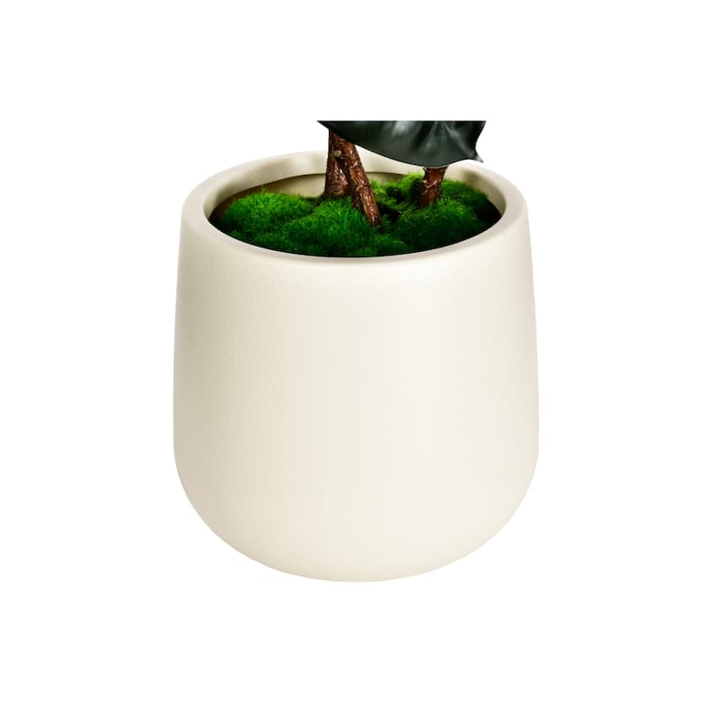 4.5 ft. Artificial Rubber Tree in White Decor Pot for Home Decor - 4.5 ft.