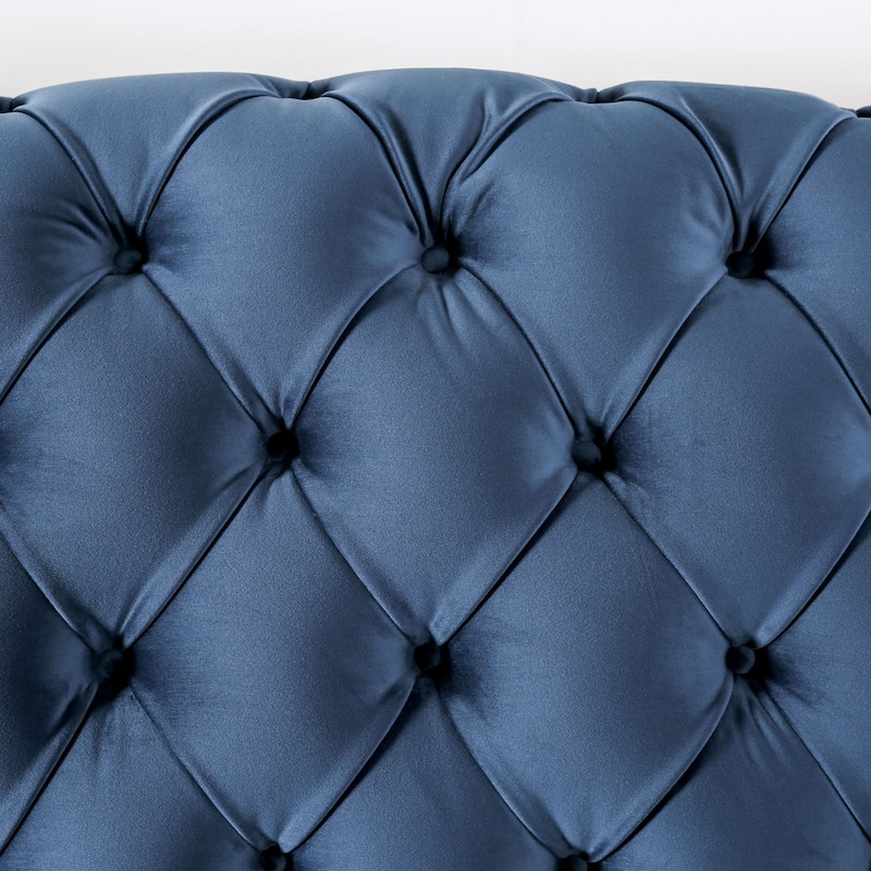 Adeben Transitional Blue Fabric Nailhead Trim Tufted 2-Piece Sofa Set by Furniture of America