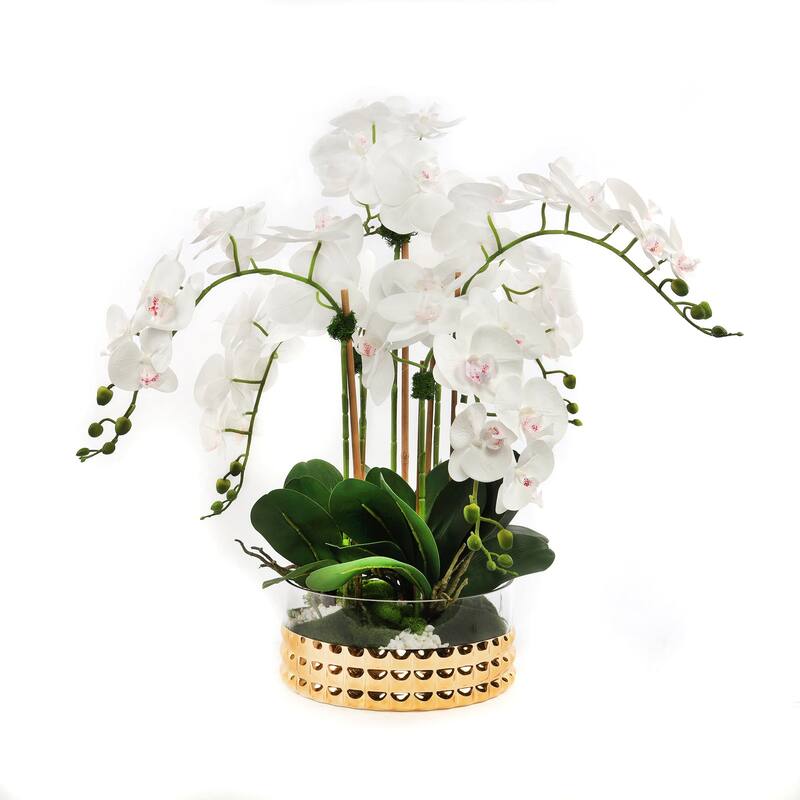 Real Touch Cream Orchid Arrangement in a Glass Gold Bowl - 22"W x 22"D x 20"H