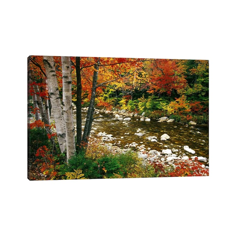 iCanvas "Autumn Landscape, Swift River, White Mountains, New Hampshire, USA" by Darrell Gulin Canvas Print