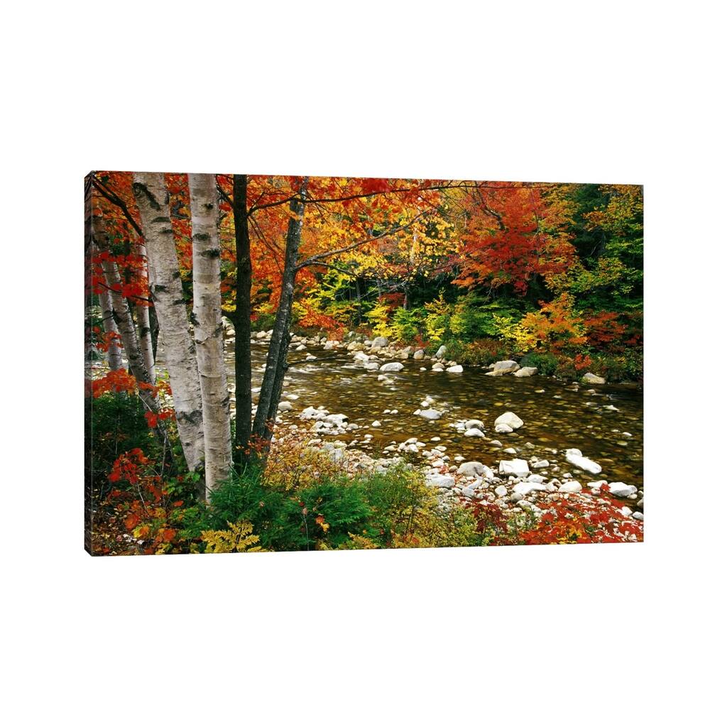 iCanvas "Autumn Landscape, Swift River, White Mountains, New Hampshire, USA" by Darrell Gulin Canvas Print