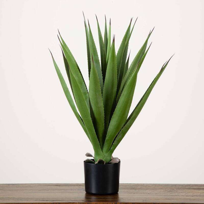 Agave Artificial Plant in Nursery Planter - 28" - Green