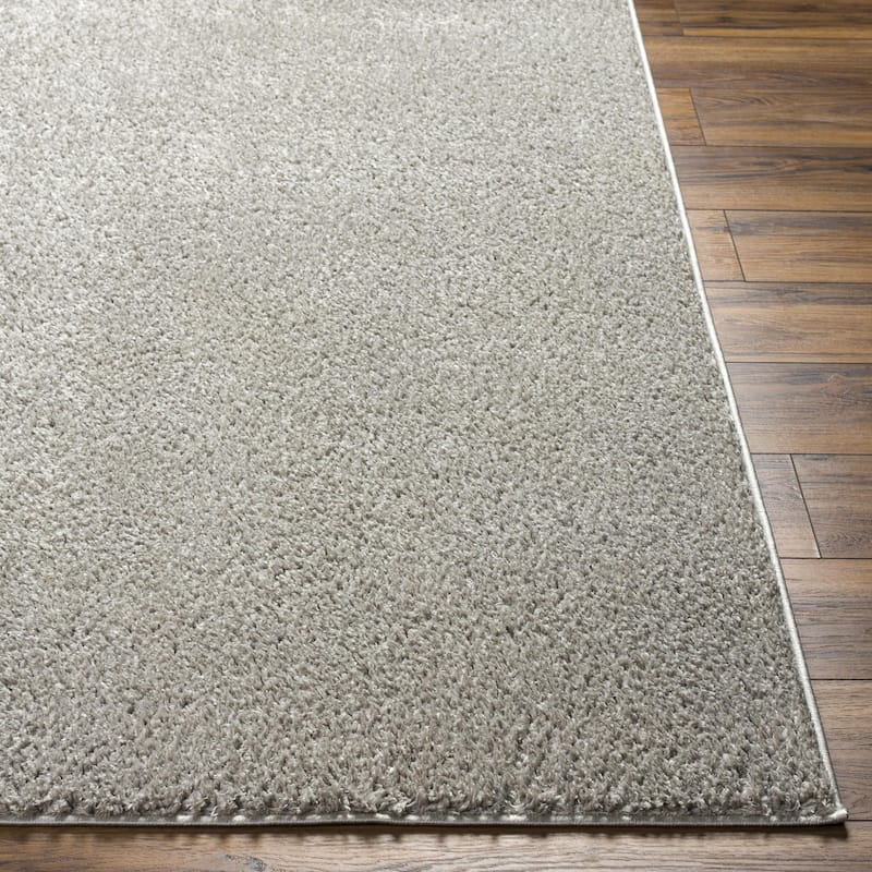 Livabliss Alfombra Machine Washable Plush Area Rug
