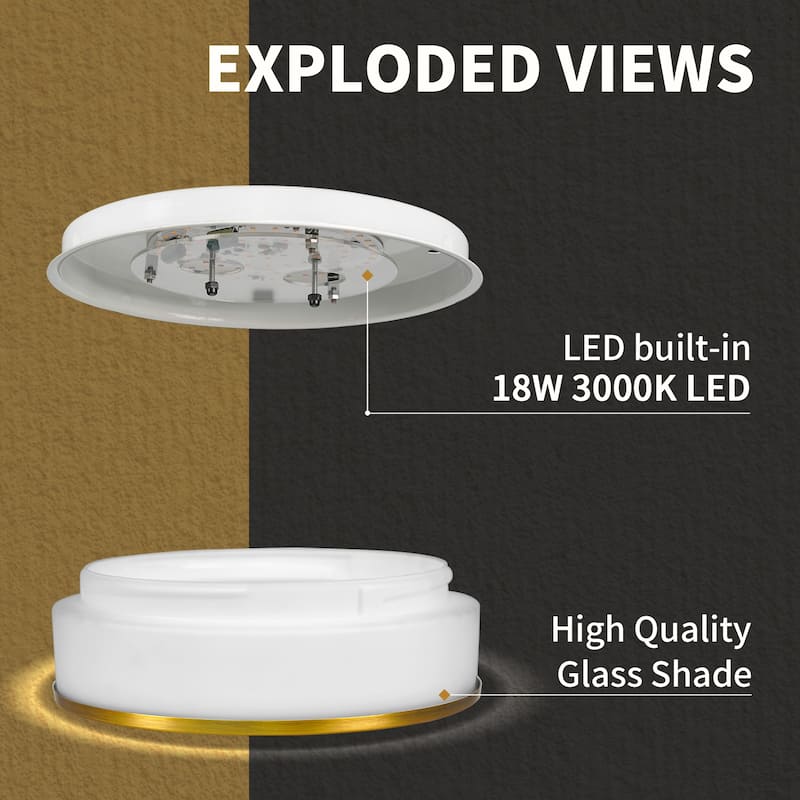Flush Mount Ceiling Light with Frosted Glass Shade - N/A