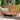 Costway 50'' Two Person Outdoor Garden Bench Loveseat Porch Chair - See Details