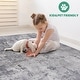 preview thumbnail 9 of 7, LOOM & LUXE Collection Light Grey/Abstract Non-Shedding Area Rug