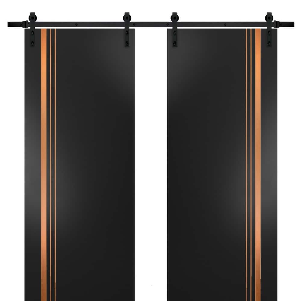 Sturdy Double Barn Door 36 x 80 with Planum 1010 Matte Black with 13FT