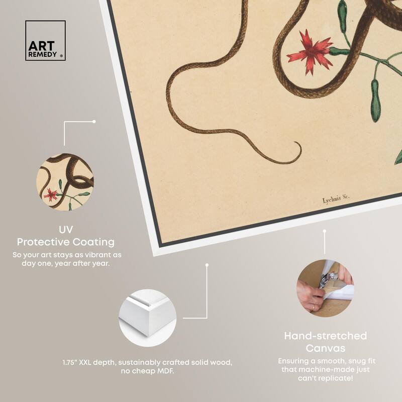 The Coach Whip Snake 1743 Canvas by Art Remedy
