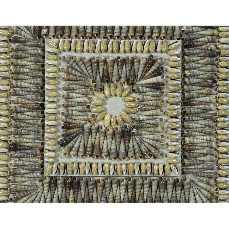 HUJI 3 Tier Shell Art Shadow Box Wall Decor