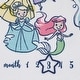 preview thumbnail 4 of 3, Disney Princess Milestone Baby Blanket