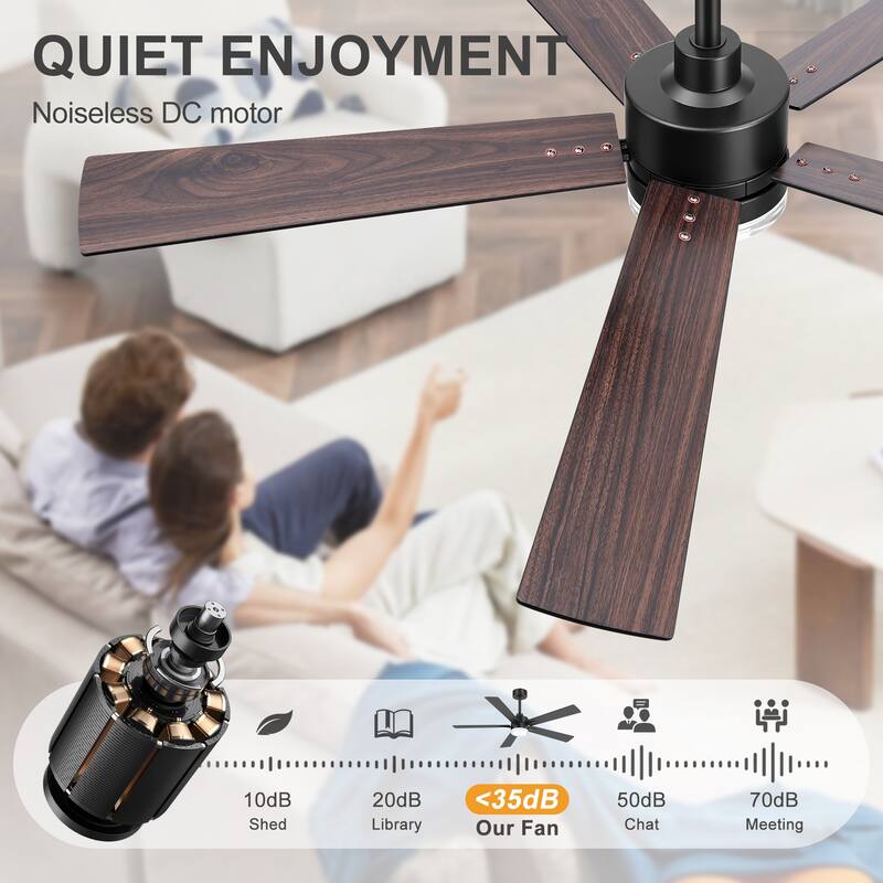 52" Modern Black Reversible 5-Blade Clear Acrylic Lens Ceiling Fan with Light and Remote