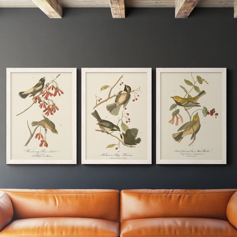 Wandering Rice Bird-Premium Framed Canvas - Ready to Hang - Multi-Color