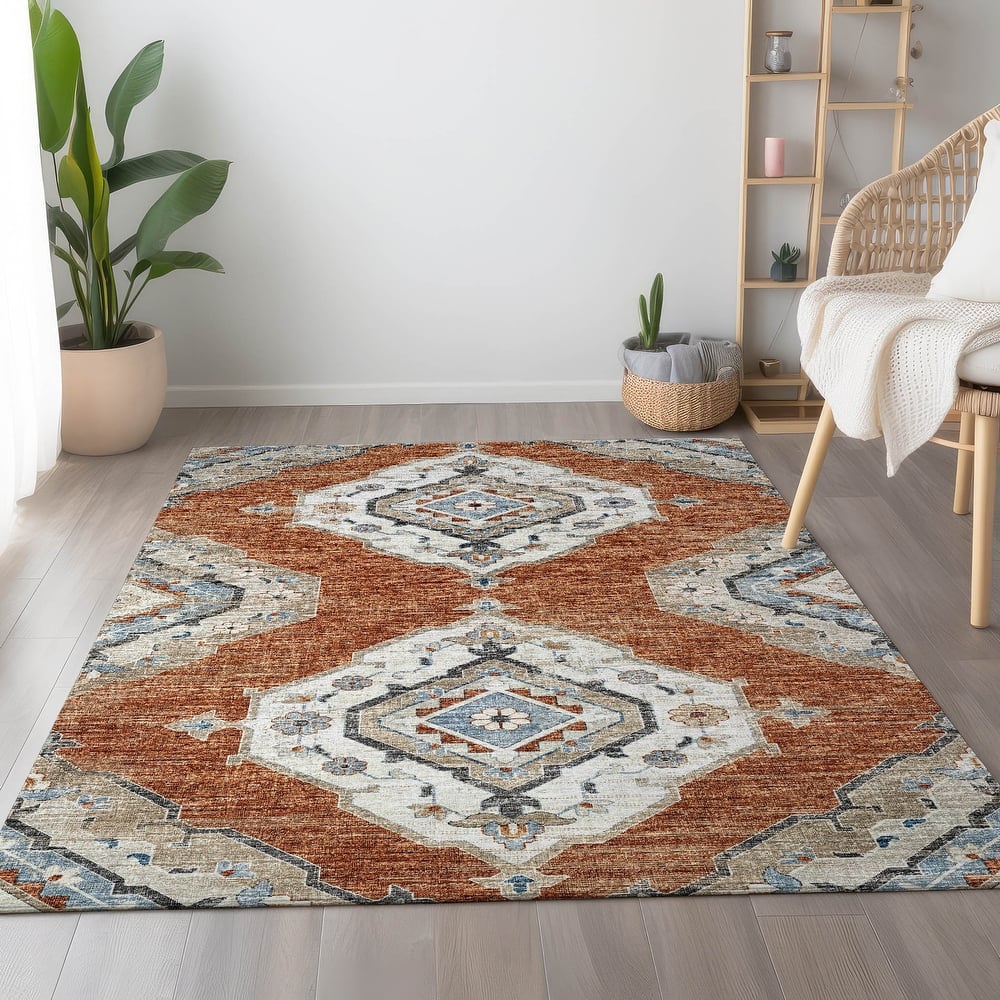 Premium Washable Super Soft Boho Heriz Mayfield Rug