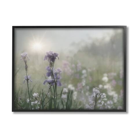 Stupell Industries Morning Violet Field Blooming Sung Glare Photography Framed Wall Art - Green
