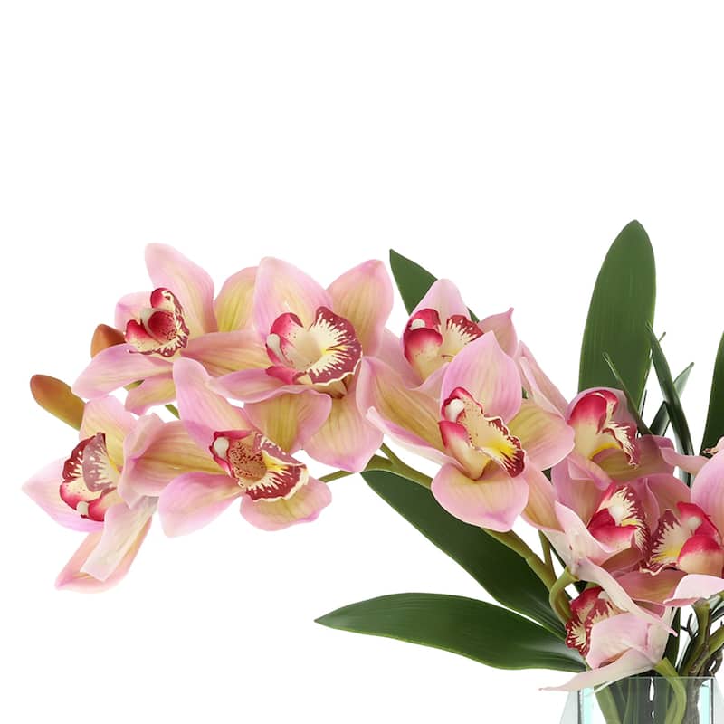 Orchid Arrangement in Mirror Vase - 24