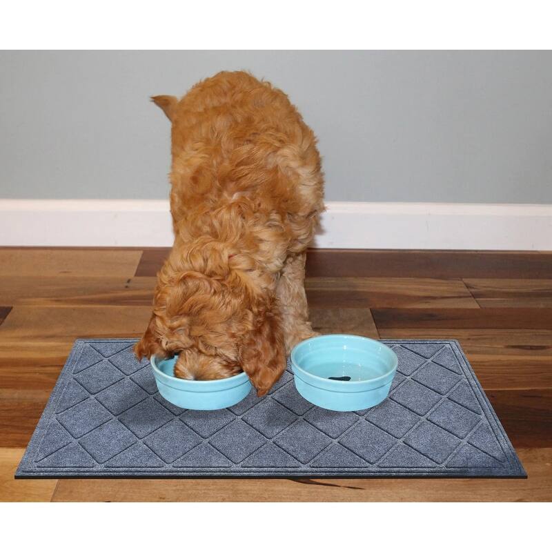 A1HC Water retainer Indoor/Outdoor Doormat, 24" x 36"