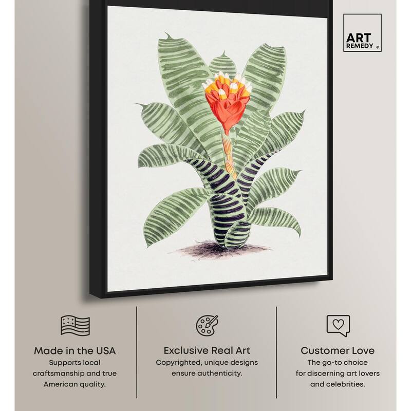 Tillandsia Musaica Plant Canvas by Art Remedy