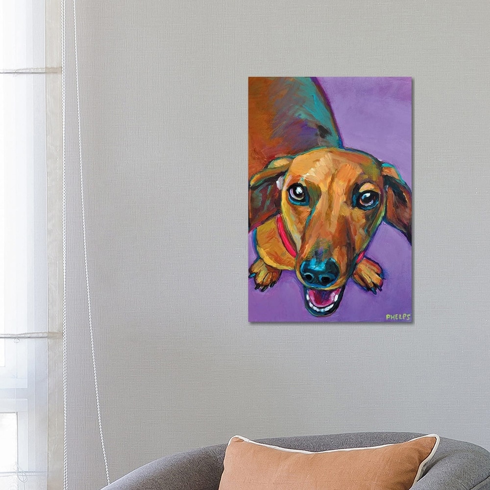 iCanvas "Lucy The Dachshund" by Robert Phelps Canvas Print