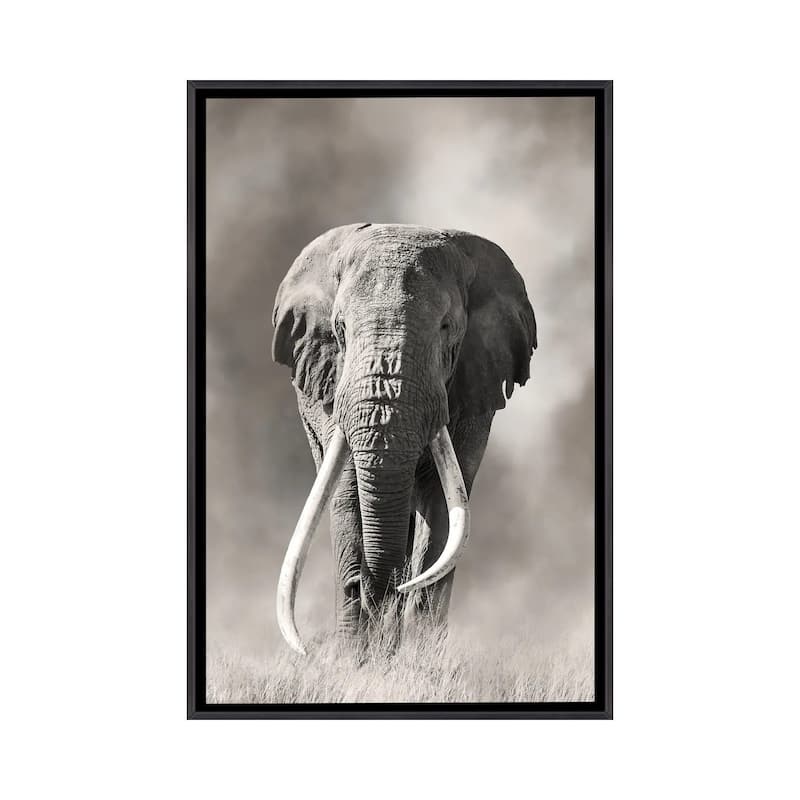 iCanvas "Giant Tusk Bull Elephant Emerges From The Dust Amboseli National Park" by Jane Rix Framed - Ebony - 40x26