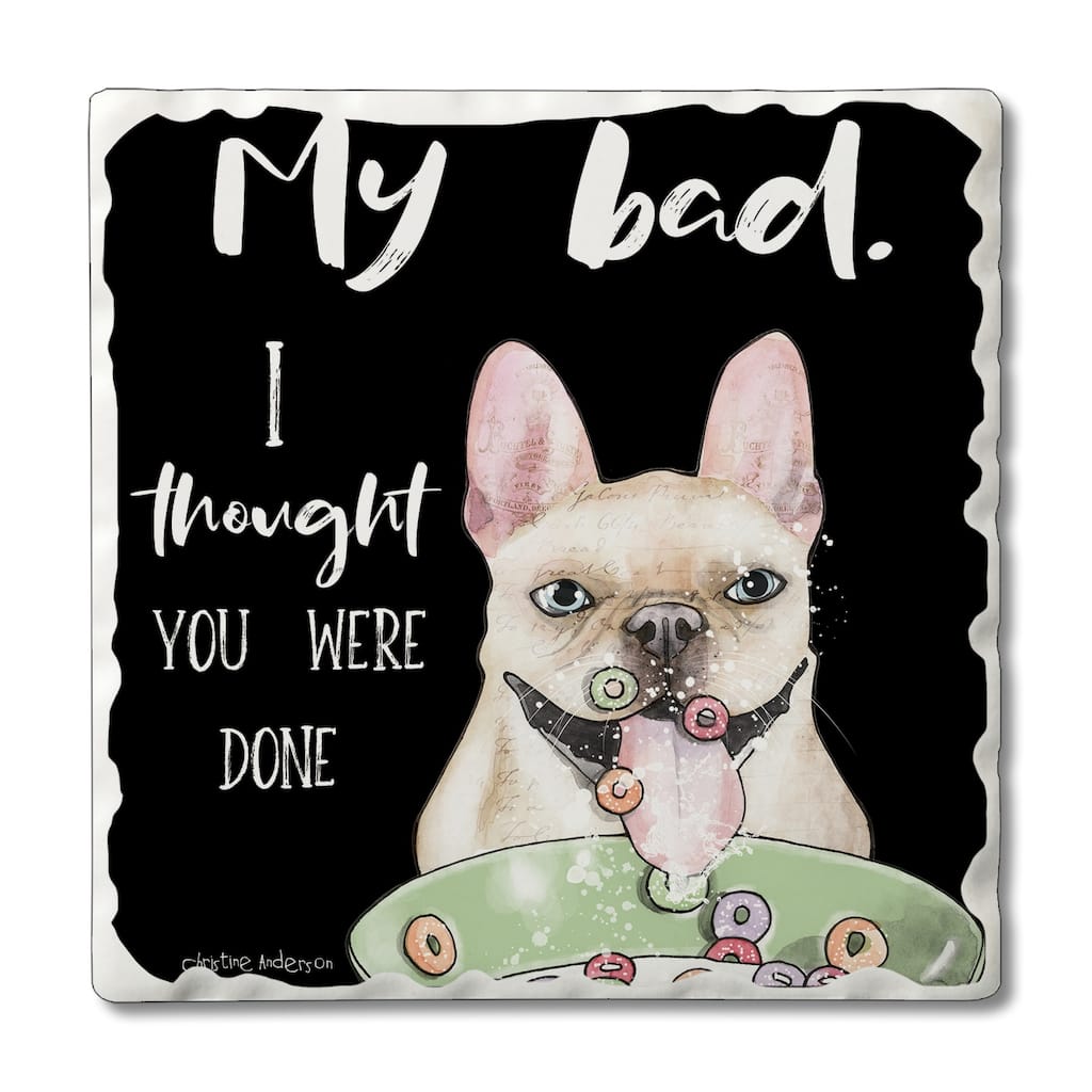 Counterart Absorbent Stone Coasters - My Bad - Set of 4 - 4x4x268