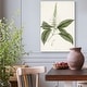 preview thumbnail 9 of 8, Sage Botanical II -Premium Gallery Wrapped Canvas