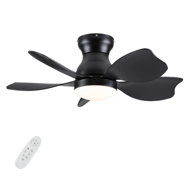 Modern Small Ceiling Fan Light with 3 Color Temperatures and 5 Blades, 6 Adjustable Wind Speeds for Bedroom and Living Room