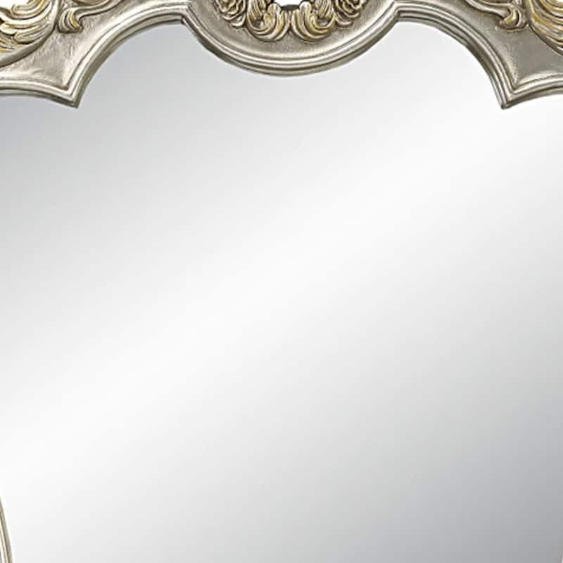Mas 59 Inch Classic Wood Mirror, Ornate Carved Frame, Champagne Gold