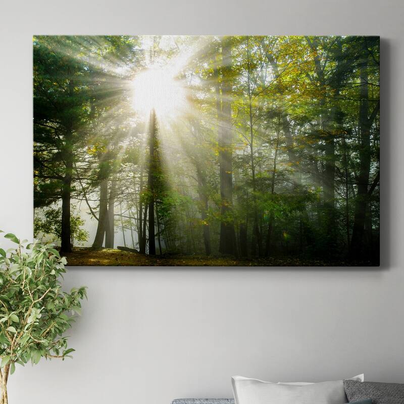 Light and Trees II Premium Gallery Wrapped Canvas - Ready to Hang