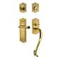Option Lifetime Brass