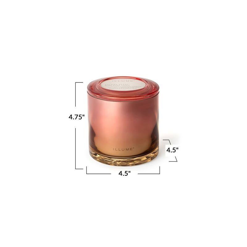 ILLUME Beautifully Done Paloma Petal Candle