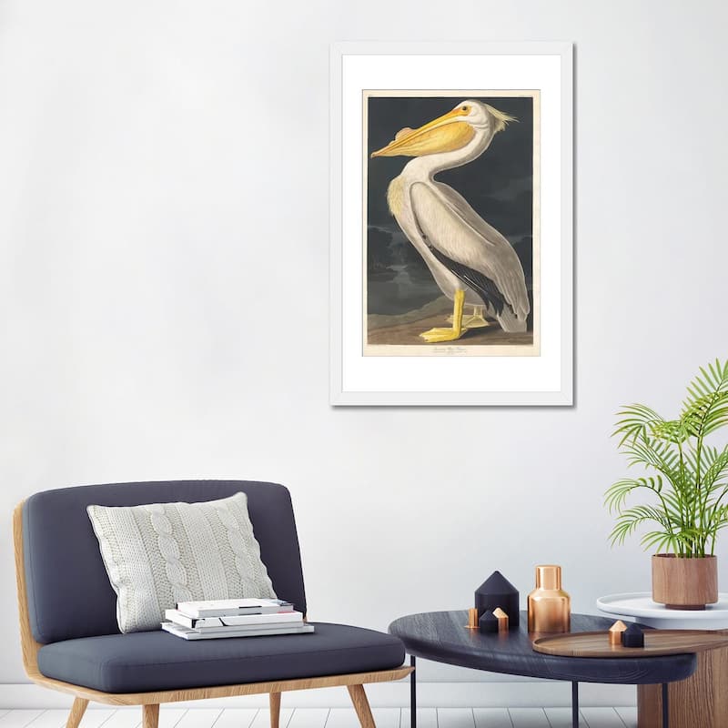 iCanvas "American White Pelican" by John James Audubon