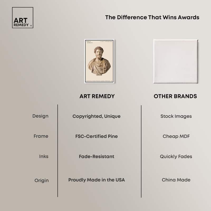 Philosopher Emperor's Gaze Canvas by Art Remedy