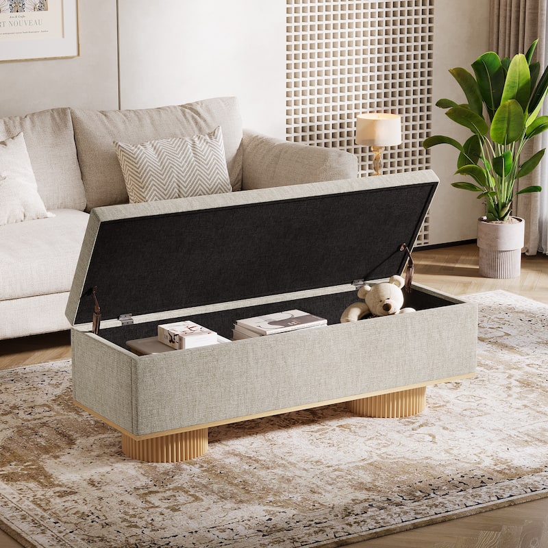 Entryway Flip Up Shoe Storage Bench with Padded Seat Cushion