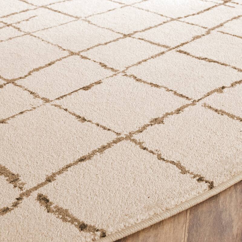 SAFAVIEH Tunisia Devi Southwestern Rug