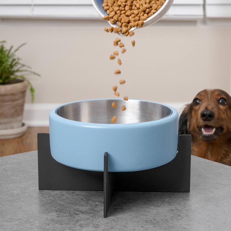 Intersecta Concrete & Steel Pet Feeder - 16oz with Metal Stand