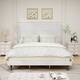 Option White