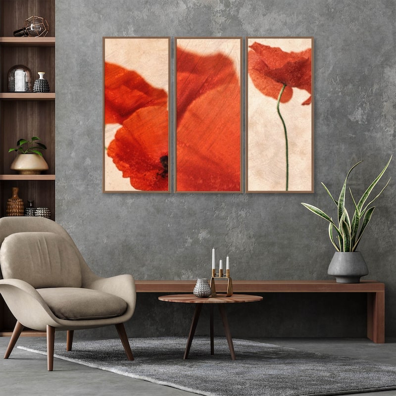 "Three Red" Framed 3-Piece Wall Art Set by Delphine Devos