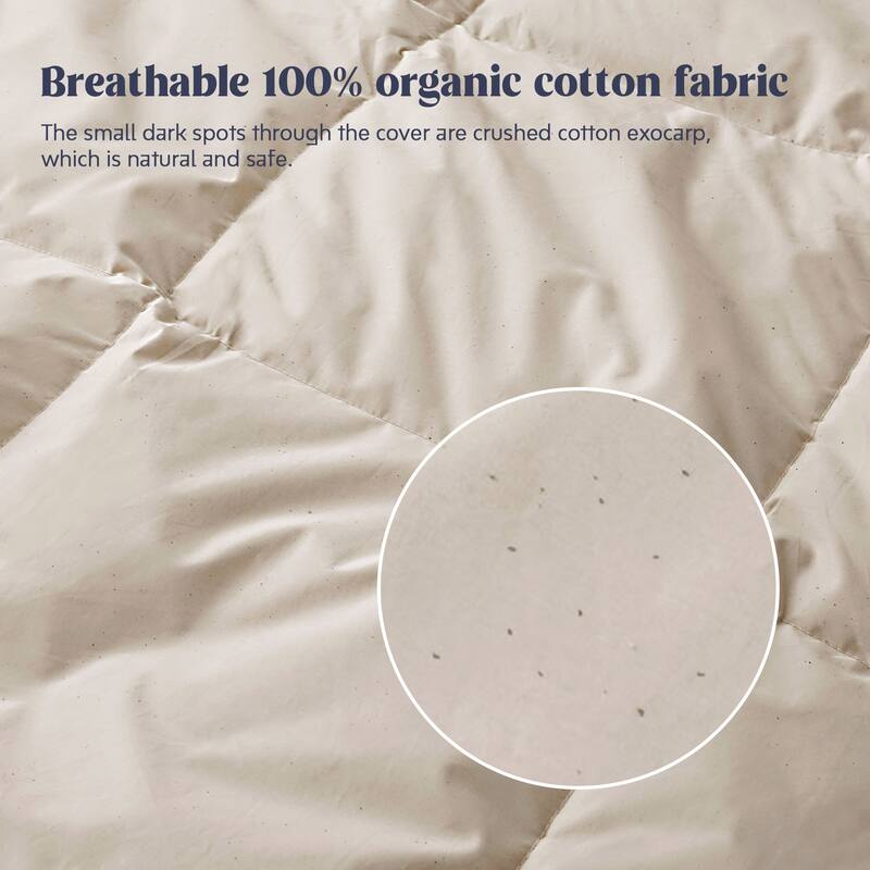 All Season 100% Organic Cotton Down Breathable Duvet Insert Medium Warmth Comforter