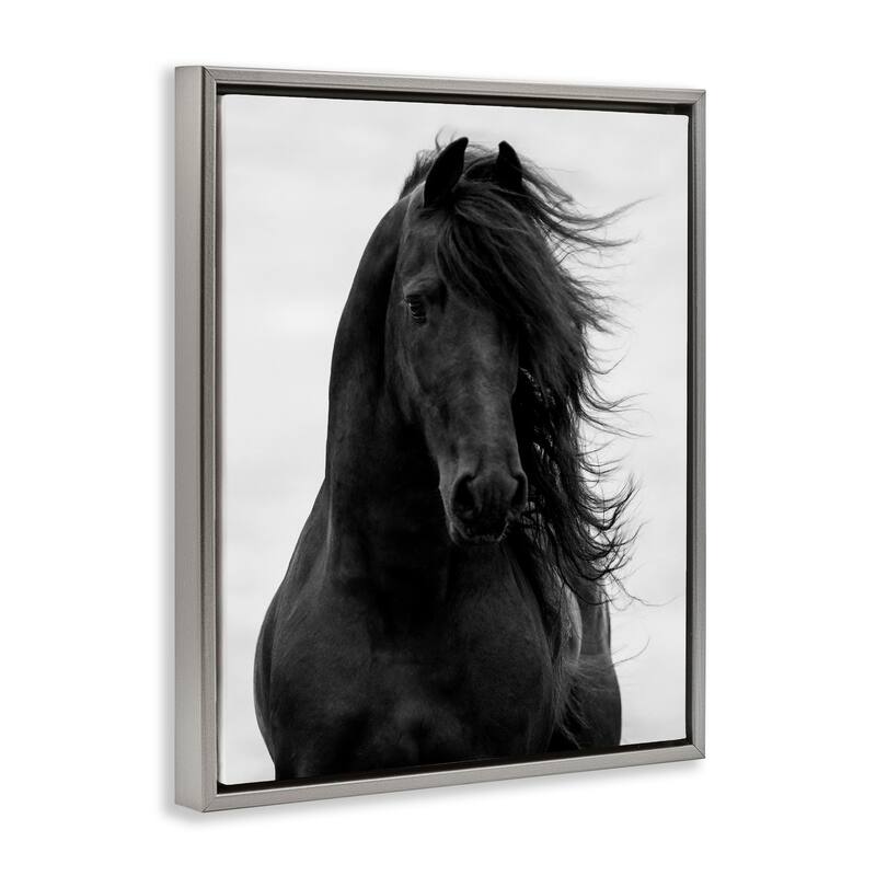 Stupell Black Stallion Horse Portrait Soft Grey Sky Photography Floater Frame