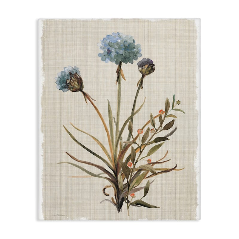 Stupell Natural Hydrangea Buds Canvas Wall Art Design By Carol Robinson - 36 x 48