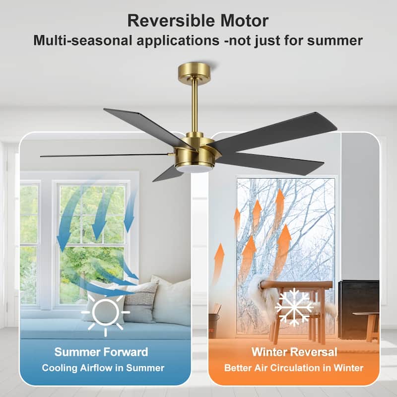 MLiAN 54 In. 5 Blades Indoor LED Ceiling Fan with Remote Control - 54"