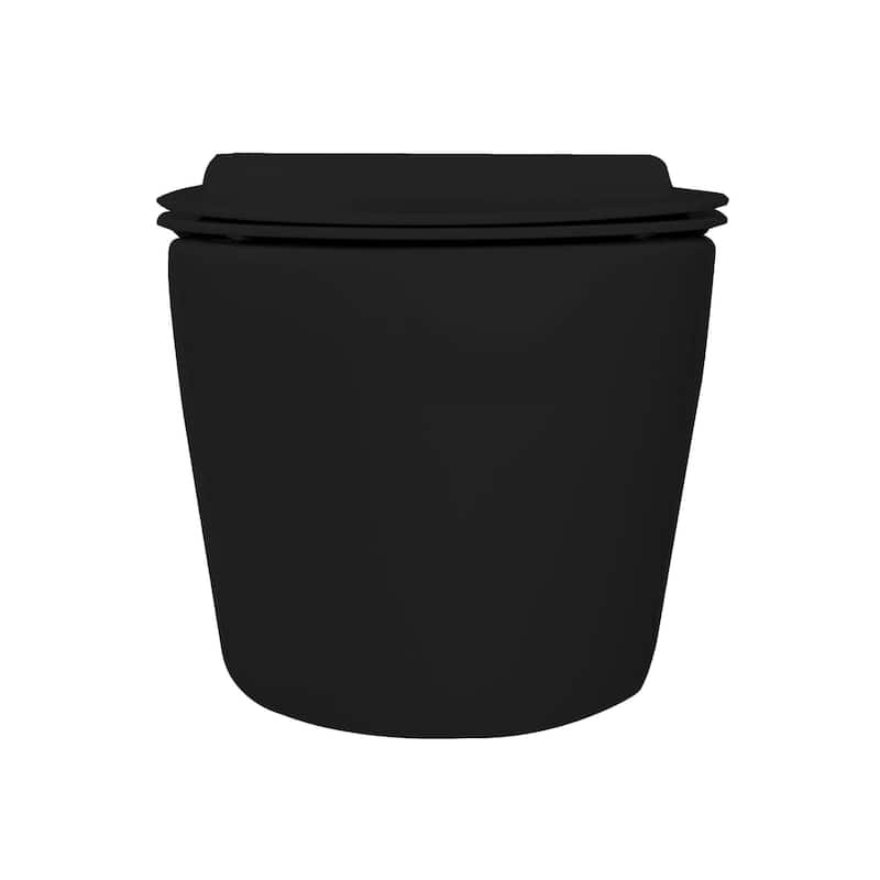 In-Wall toilet Combo Set - Toilet, Tank (2 x 6 Wall), Carrier System