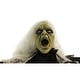 preview thumbnail 11 of 11, Haunted Hill Farm 63 In. Animatronic Witch, Indoor/Outdoor Halloween Decoration, Flashing Red Eyes, Crawling, Battery