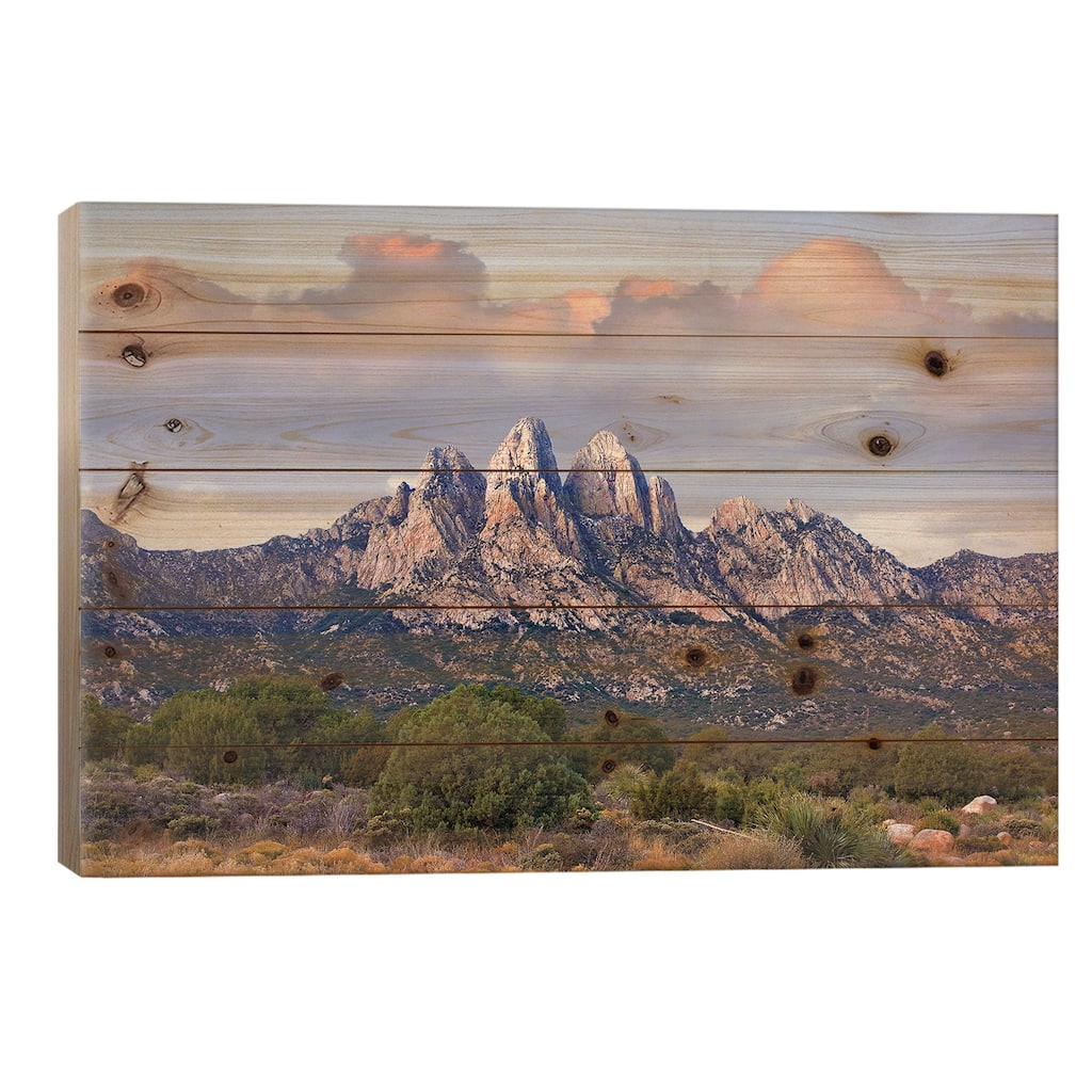 Organ Mountains, Chihuahuan Desert, New Mexico I Print On Wood by Tim Fitzharris - Multi-Color