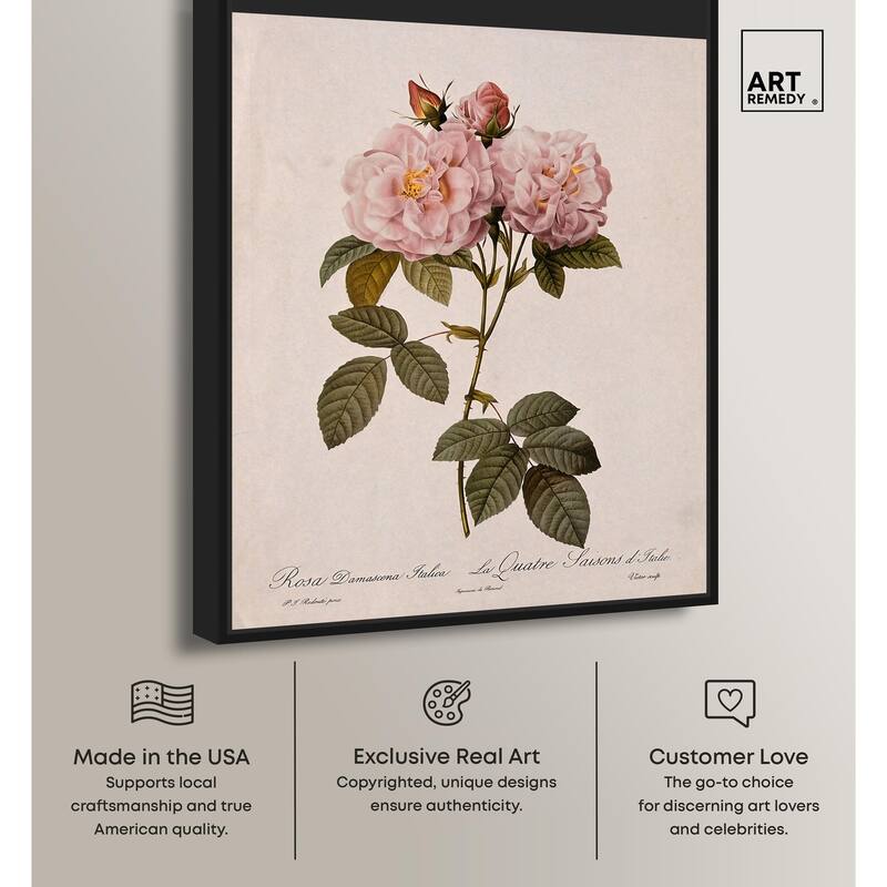 Damask Rose Canvas by Art Remedy