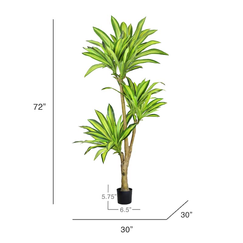 6ft Real Touch Artificial Dracaena Tree Plant in Black Pot - 72" H x 30" W x 30" DP