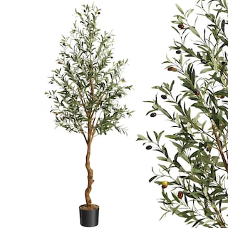 Artificial Olive Tree 6FT(72in) Tall Faux Silk Olive Trees